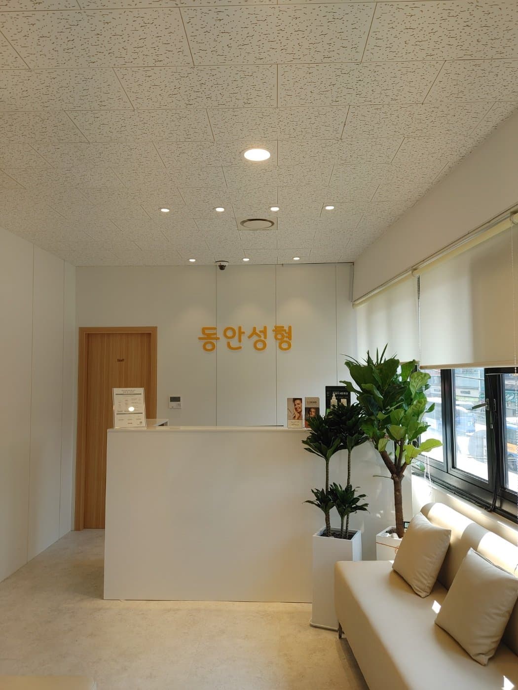 セレクト IPL